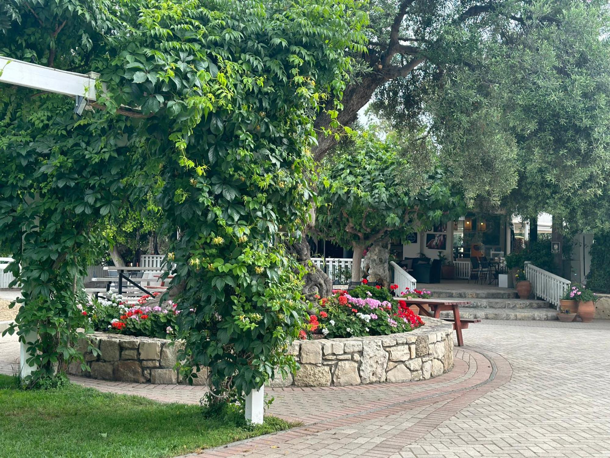 Amnisiades Apartments Karteros Luaran gambar